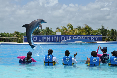 Riviera Maya: Dolphin Encounter with Beach Club Access