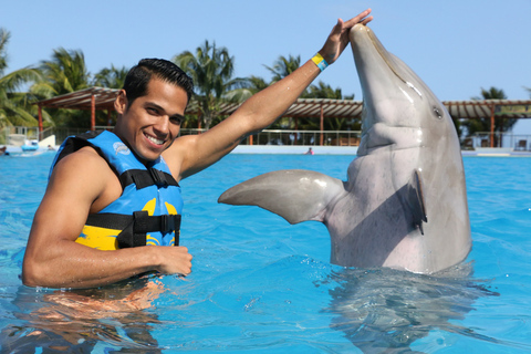 Riviera Maya: ontmoeting met dolfijnen met toegang tot de strandclub