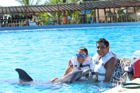 Riviera Maya: ontmoeting met dolfijnen met toegang tot de strandclub