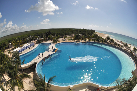 Riviera Maya: Delfin-Begegnung mit Beach Club Zugang