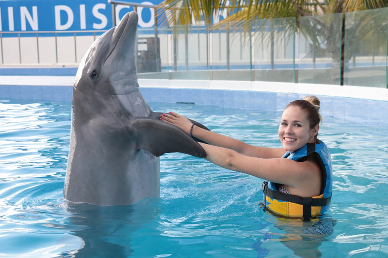 Riviera Maya: Encuentro con delfines con acceso al Club de Playa