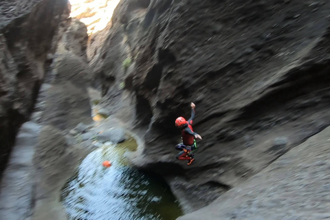 Teneriffa: Guidad Canyoning Experience