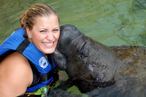 Cancún: Manatee Encounter on Isla Mujeres with Buffet Lunch