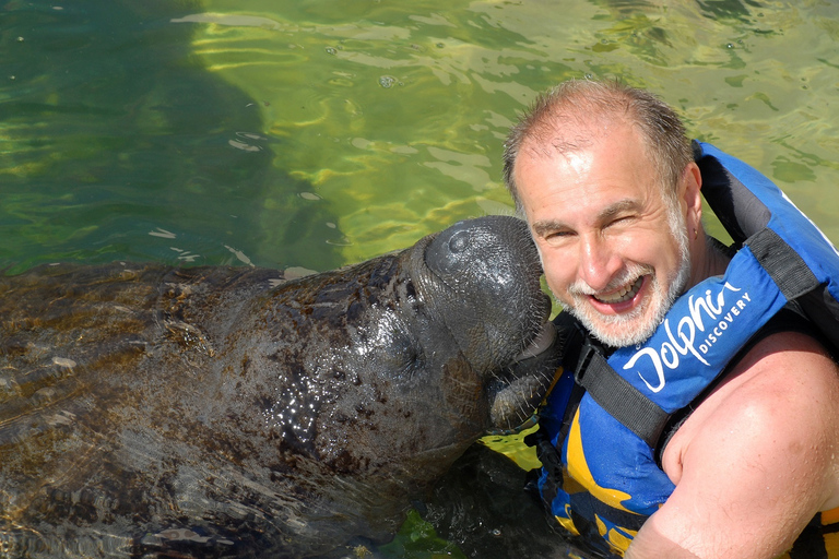 Cancún: Manatee Encounter på Isla Mujeres med lunchbuffé