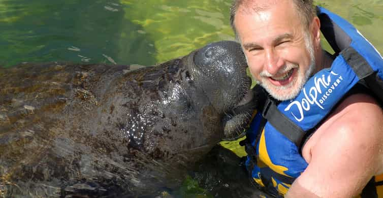 Dolphin Discovery, Cancún, Cancún - Book Tickets & Tours | GetYourGuide