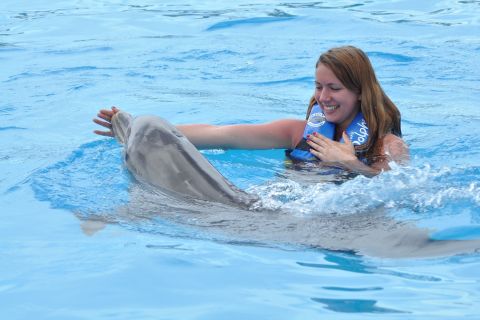 Cancún: Dolphin Swimming Program on Isla Mujeres with Buffet