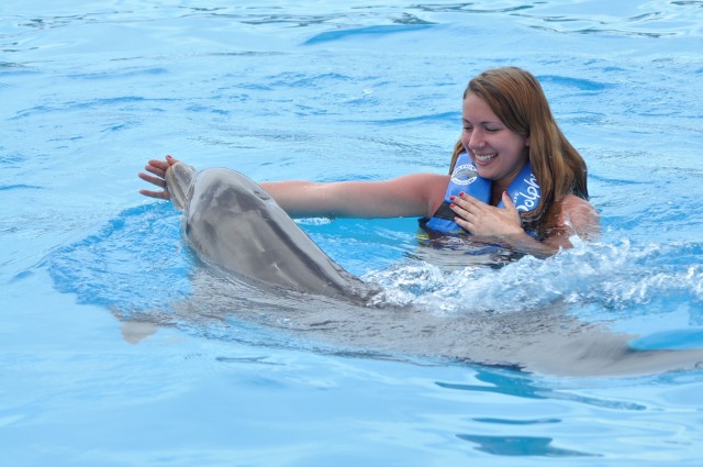 Visit Cancún Dolphin Swimming Program on Isla Mujeres with Buffet in Isla Mujeres