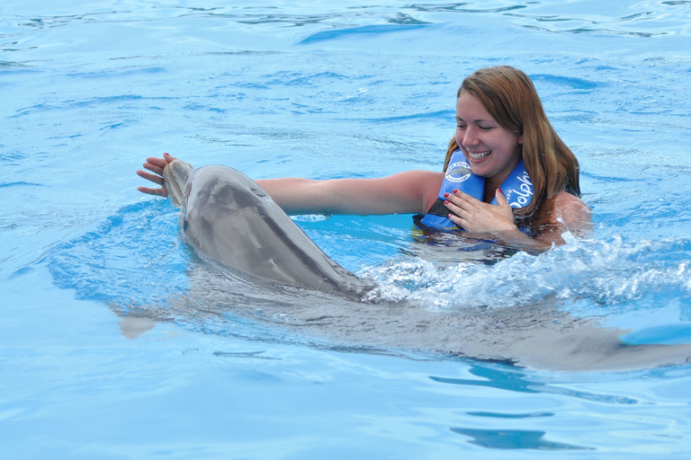 Cancún: programa de nado con delfines en Isla Mujeres con buffet