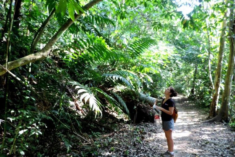 Panama City: randonnée dans le parc national de Soberania