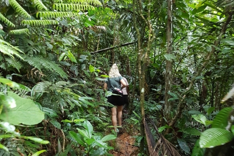 Panama-Stadt: Wanderung durch den Soberania-NationalparkPanama-Stadt: Wandertour im Soberania-Nationalpark