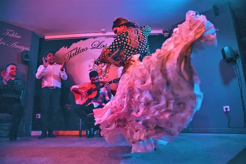 Málaga: Flamenco, Tapas en Wijn Tour