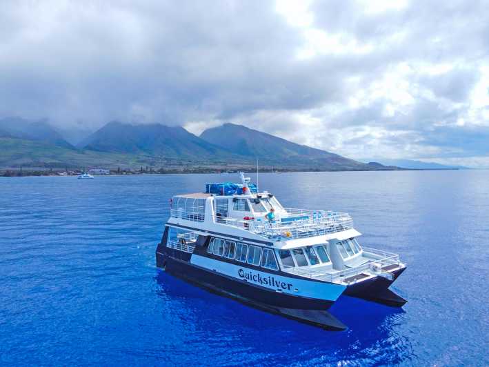 Maui: Walbeobachtungstour an Bord des Quicksilver Katamarans