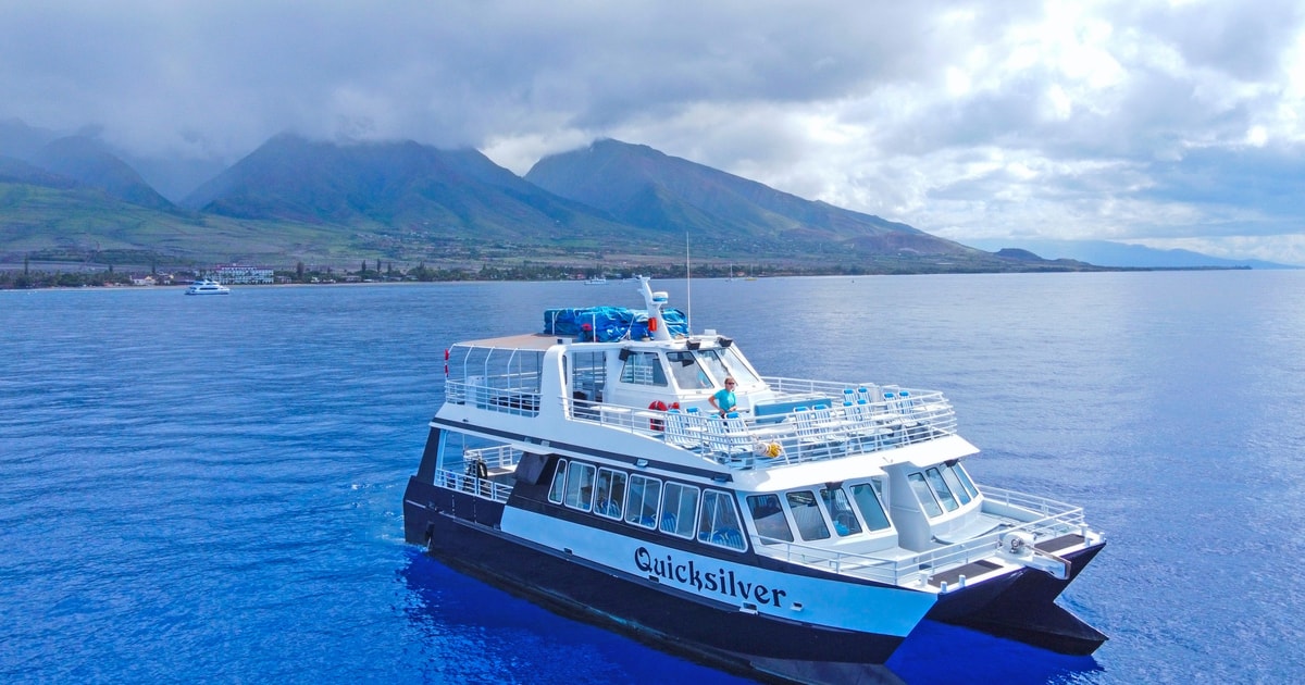 lahaina maui channel whale watching catamaran cruise