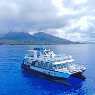 Lahaina: crociera in catamarano per l'osservazione delle balene nel canale di Maui