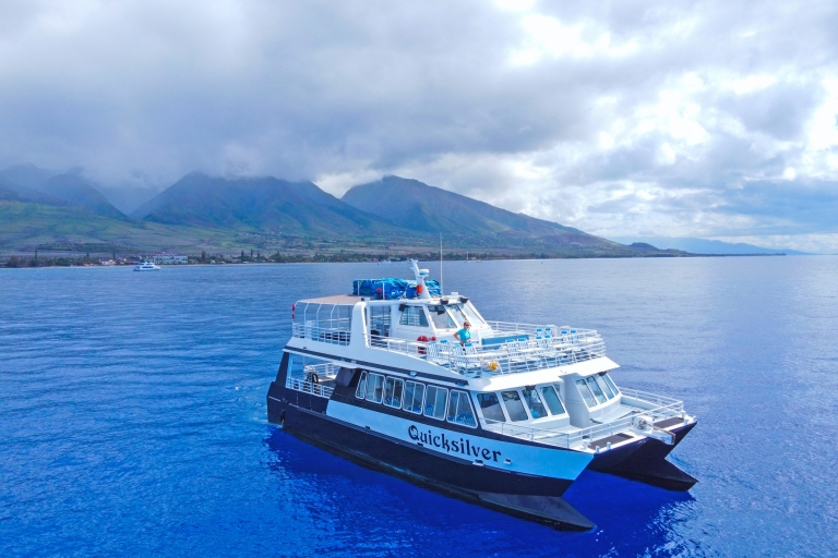 Lahaina: crucero en catamarán de avistamiento de ballenas por el canal de MauiAvistamiento de ballenas madrugadores de 2 horas: salida a las 7:30 a. m.