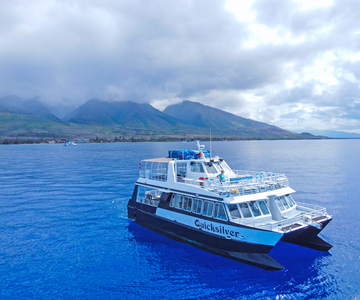 Ma'alaea Harbor: Whale Watching Catamaran Cruise