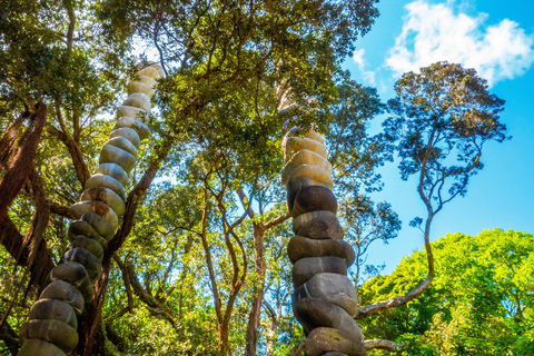 Tour a pie en grupo reducido por la Auckland oculta