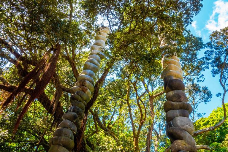 Excursão a pé para grupos pequenos em Auckland