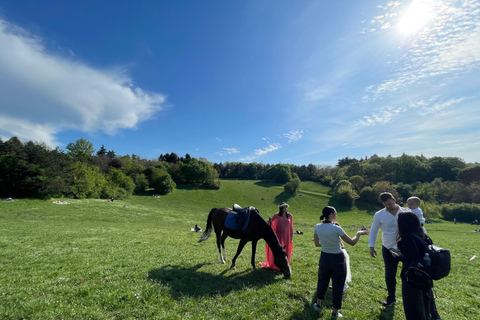 Belgrade: Epic Forest Horseback Riding Tour