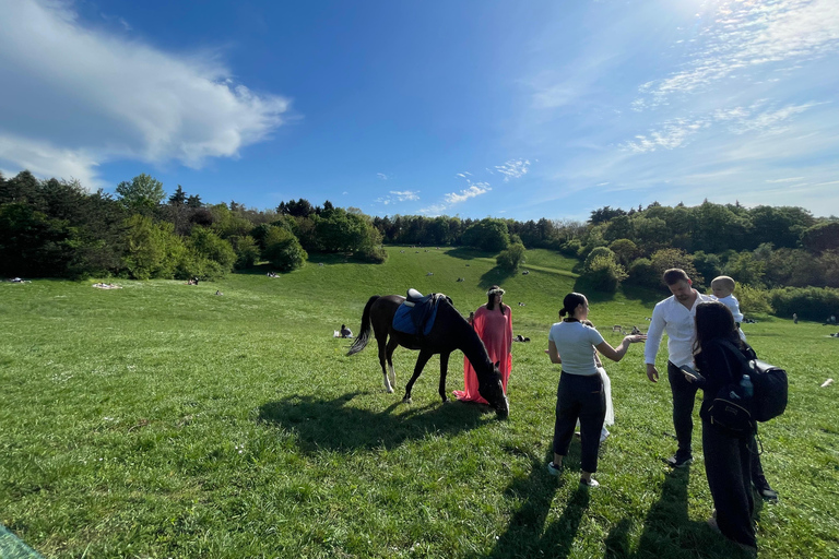 Belgrade: Epic Forest Horseback Riding Tour