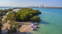 Mangrove National Park, Self-Drive Speedboat Tour - Housity
