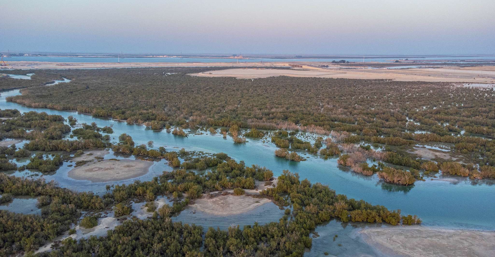 Mangrove National Park, Self-Drive Speedboat Tour - Housity