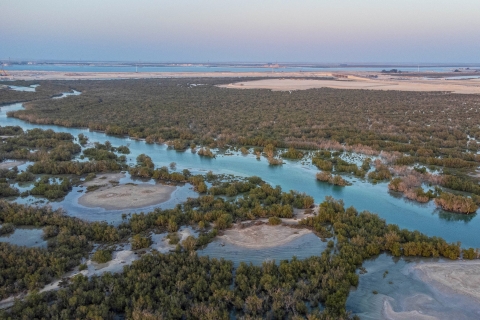 Parc national de la mangrove : excursion en hors-bord sans chauffeurTour en hors-bord sans chauffeur