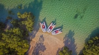 Mangrove National Park, Self-Drive Speedboat Tour - Housity