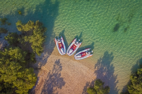 Park Narodowy Mangrove: samodzielna wycieczka łodzią motorowąWycieczka łodzią motorową z własnym napędem