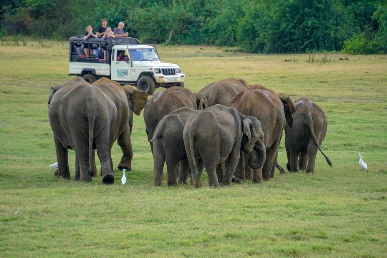 Sigiriya: Polonnaruwa & Wildlife Safari Day Tour