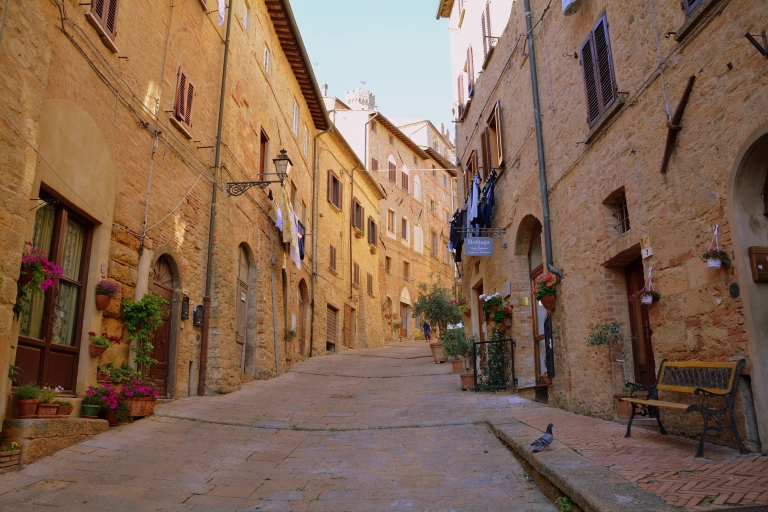 Volterra: Prywatna piesza wycieczka po Piazza dei Priori i katedrzeWycieczka w języku angielskim