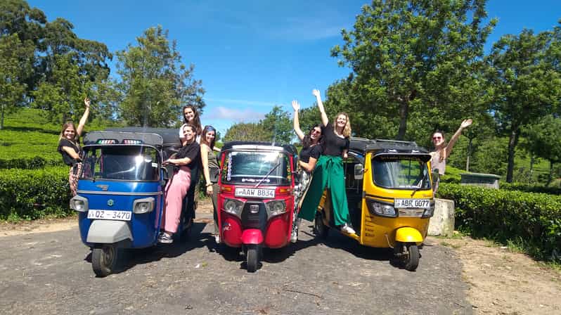 Haputale: Tea Plantation, Safari, & Lipton's Seat Day Tour