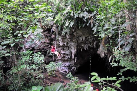 Ecoadventure Cave Rappel & Ziplining Safari in San Juan, PR