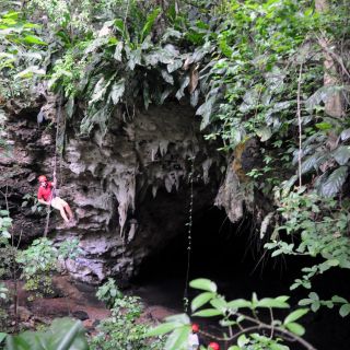 Porto Rico: Rapel na Caverna Campo Rico e Safari de tirolesa
