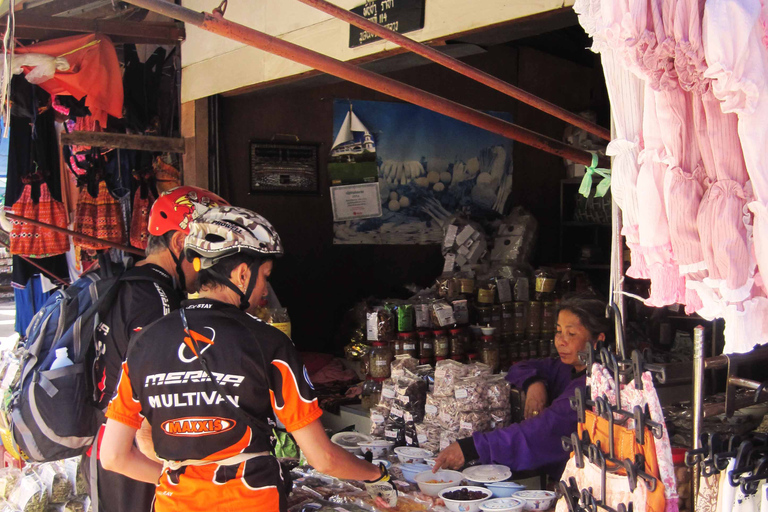 Chiang Ma: Doi Suthep National Park Hike & Bike Tour