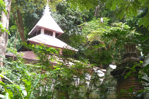 Chiang Mai: Doi Suthep nationalpark Vandring och cykling på fritidenChiang Mai: Fotvandring och cykeltur i Doi Suthep nationalpark