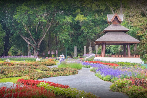 Chiang Ma: Doi Suthep National Park Wandel- en fietstocht