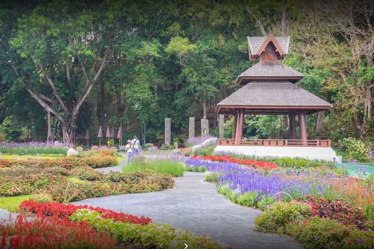 Chiang Ma: Doi Suthep National Park Wandel- en fietstocht