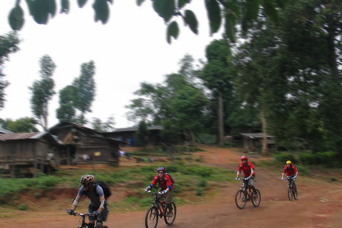 Chiang Ma: Doi Suthep National Park Wandel- en fietstocht