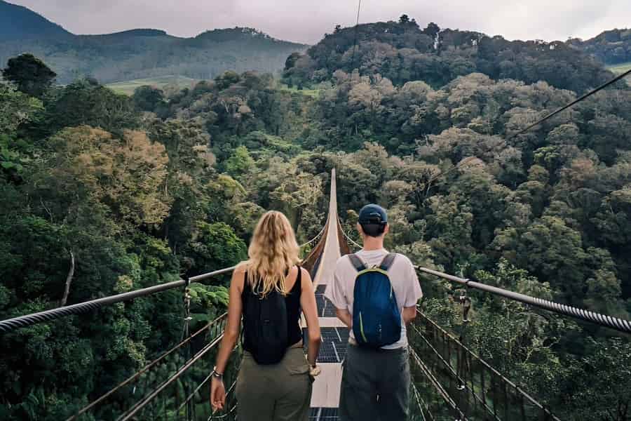 Weißer Krater, Teefeld, Hängebrücke & heiße Quelle. Foto: GetYourGuide