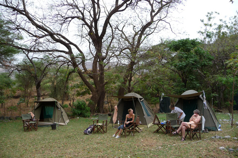 Safari en camping en grupo de 5 días por el Serengeti, Ngorongoro y ManyaraSafari en grupo de 5 días por el Serengeti, el Ngorongoro y el Lago Manyara