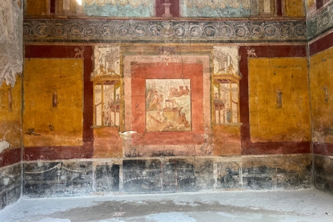 Pompeya: El Foro y Via dell'AbbondanzaTour compartido en inglés