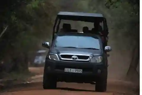Yala private safari | Full day | Guided by a professional