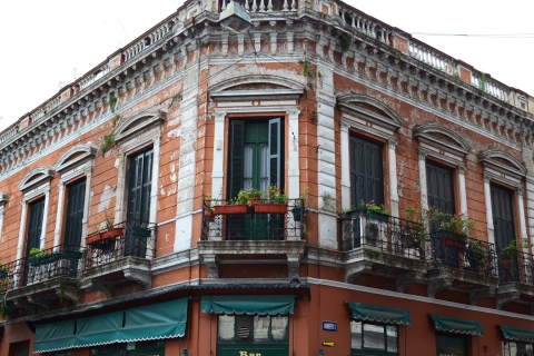Buenos Aires: wycieczka z przewodnikiem po San Telmo i rynku w języku angielskimOpcja standardowa