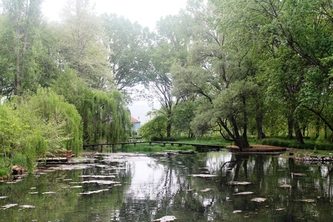 From Tirana: Day Trip to Korca, Pogradec and Ohrid Lake Shared Tour - Minimum Capacity Required