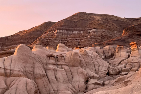 Day of Dinosaurs and Hoodoos From Calgary to Drumheller
