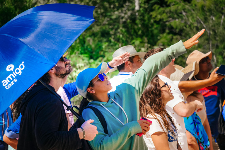 Cancun: Excursão a Chichen Itza, Cenote e Valladolid com almoçoTour particular com serviço de busca no hotel