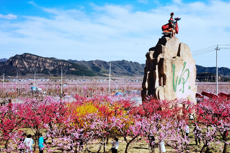 Beijing Taoist Attractions Feature Day Tour（With Options）Half Day Tour Covering BeijingBaiyunguan And Dongyue Temple