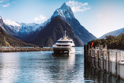 Milford Sound: natuurcruise op premium catamaran met glazen dak