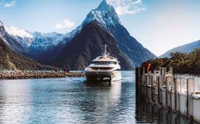 Milford Sound: Nature Cruise on a Modern Catamaran